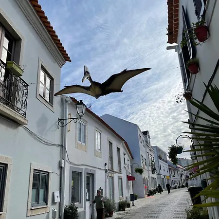Sunny Minutes From The Vakantiehuis *