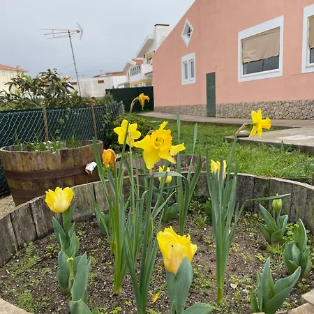 Ferienhaus Sunny Minutes From The Lourinhã