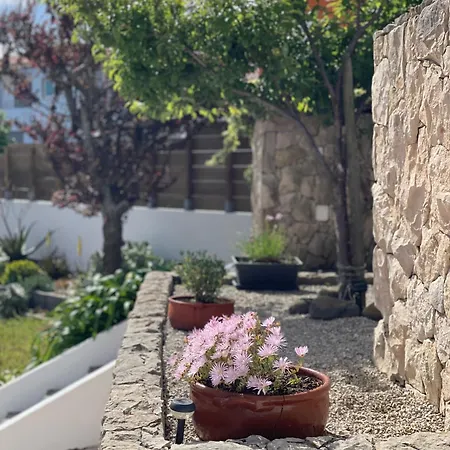 Sunny Minutes From The