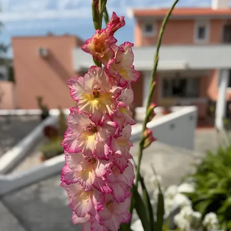 Sunny Minutes From The Holiday home *